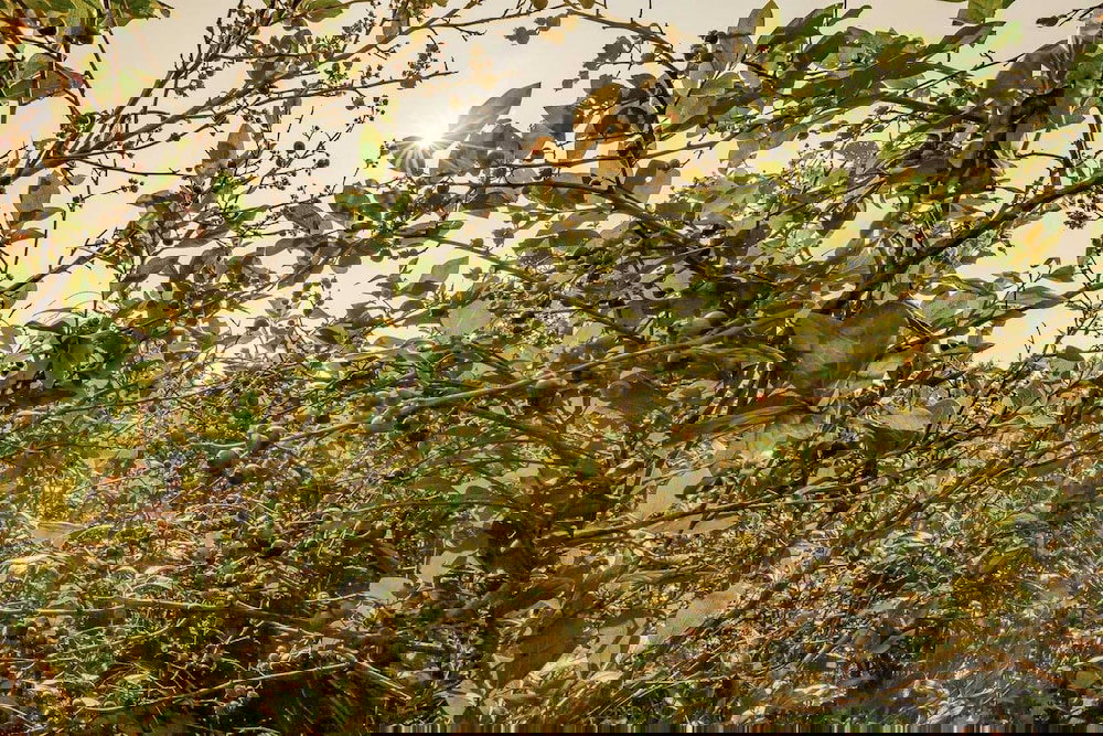 Tentrr Bridgewater Farm Campsite - thumb 2