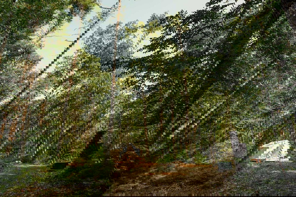 Tentrr Bridgewater Farm Campsite - thumb 5