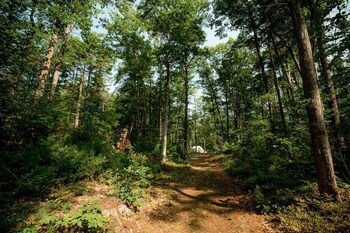 Tentrr Bridgewater Farm Campsite - thumb 6