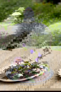 Book Cities Accommodation Vacations, Tourism Bookings Tourism Bookings