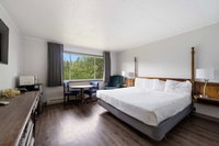 Book Cities Accommodation Vacations, Tourism Bookings Tourism Bookings