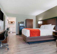 Comfort Inn - Tourism Bookings