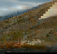 Stein Eriksen Lodge - USA Accommodation