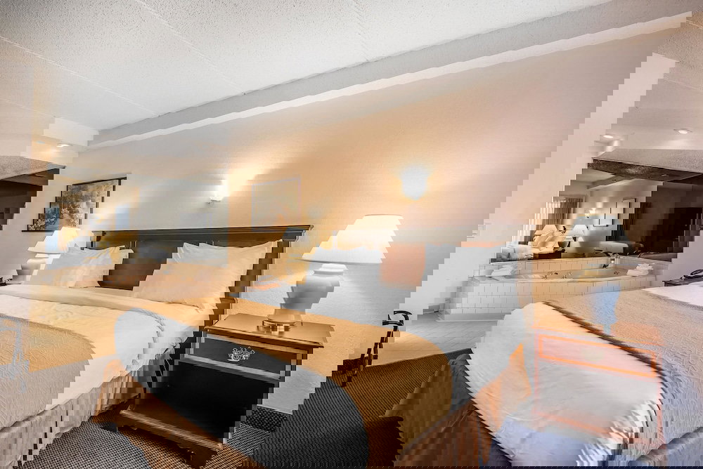 Quality Inn & Suites Albany Airport - thumb 4