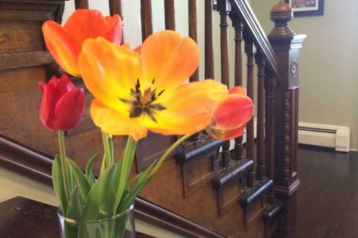 Queen Anne Bed And Breakfast - thumb 2