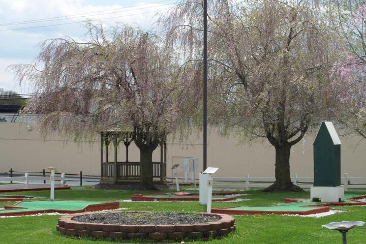 Red Carpet Inn & Suites Palmyra - thumb 6