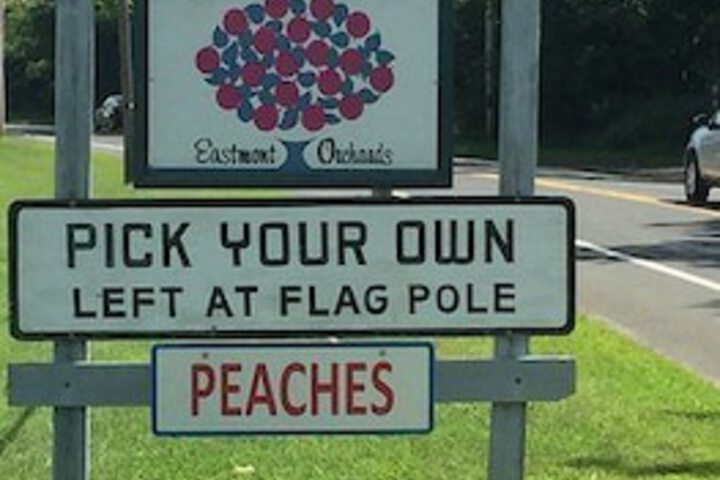 Colts Neck Inn Hotel - thumb 7