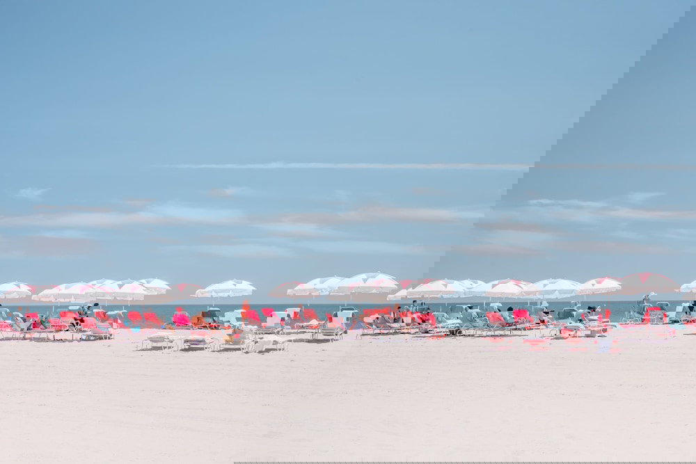 The Sandpiper Beach Club - thumb 1