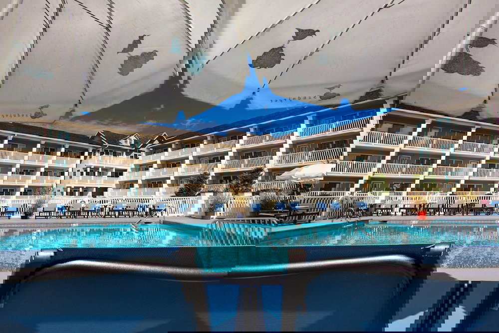 The Sandpiper Beach Club - thumb 5