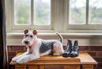 Craddock Terry Hotel and Event Center