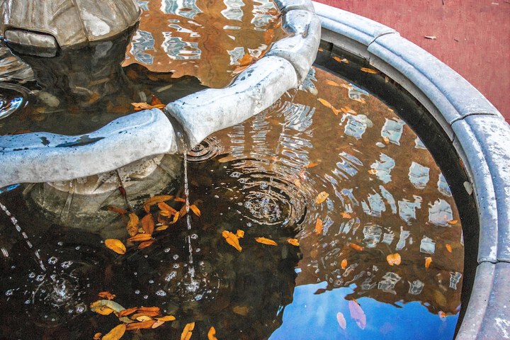 Warwick Melrose Dallas - thumb 1