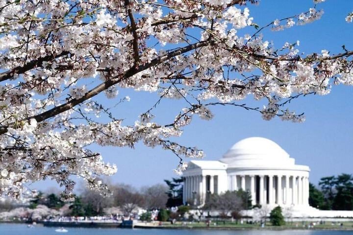 American Inn Of Bethesda - thumb 4