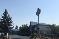 Tulip Inn