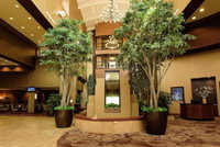 Embassy Suites Minneapolis - North