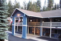 The Christmas Tree Inn