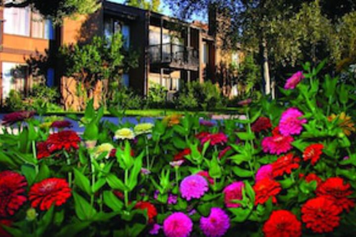 San Diego Country Estates - thumb 0