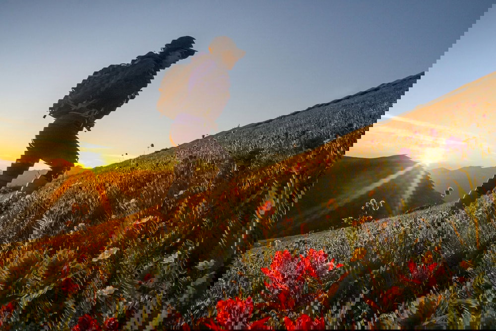 Fairmont Heritage Place, Franz Klammer Lodge - thumb 4