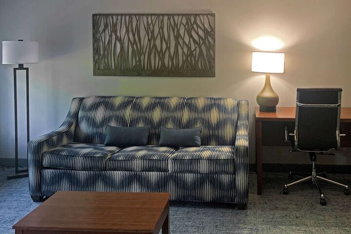 Comfort Suites Near Birkdale Village- Huntersville - thumb 6