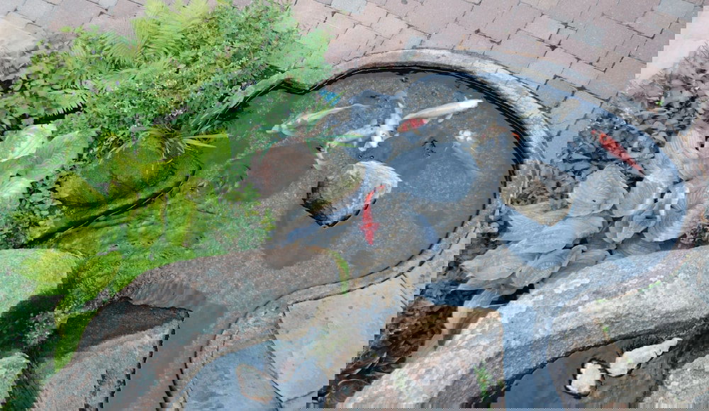 Annabelle Inn - thumb 0