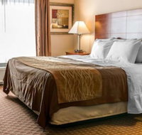 Quality Inn Near Interstate I94 - Tourism Bookings