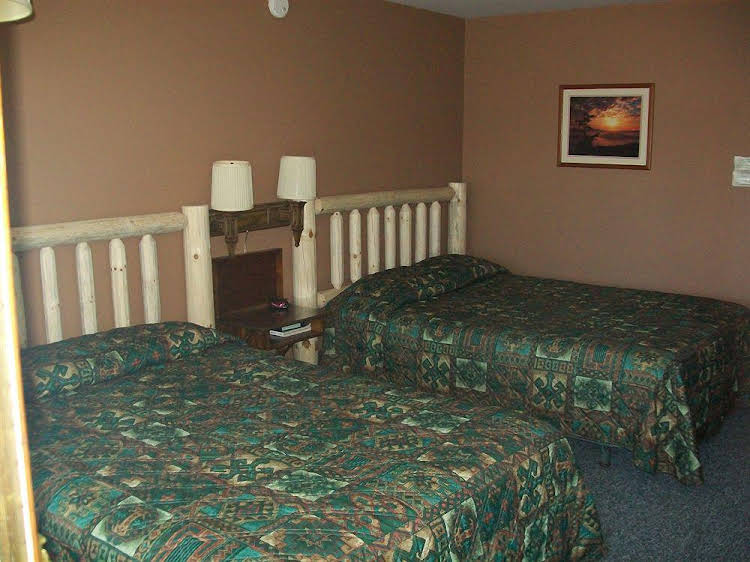 Black Bear - thumb 7