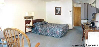 Black Bear - thumb 3