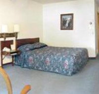 Black Bear - Tourism Bookings