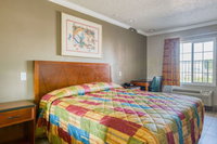 Passport Inn  Suites