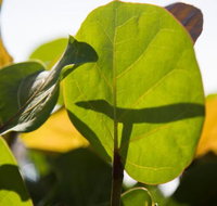 Reef Ocean Resort - USA Accommodation