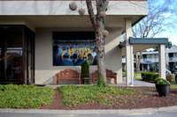 Chapel Hill University Inn