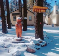 Lakewood Cabins - USA Accommodation