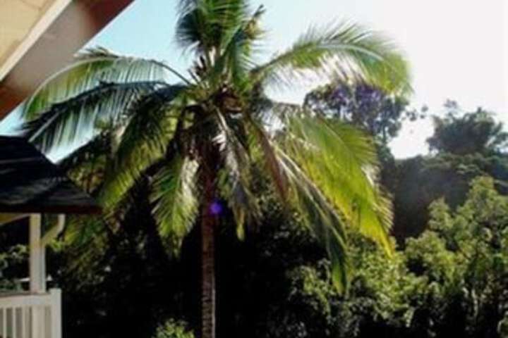 Bamboo Valley Inn - thumb 0