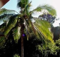 Bamboo Valley Inn - USA Accommodation