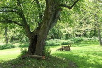 Wagener Estate Bed  Breakfast