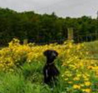 Wolf Creek Farm B  B  Motorcycle Manor at Wolf Creek Farm - Tourism Bookings