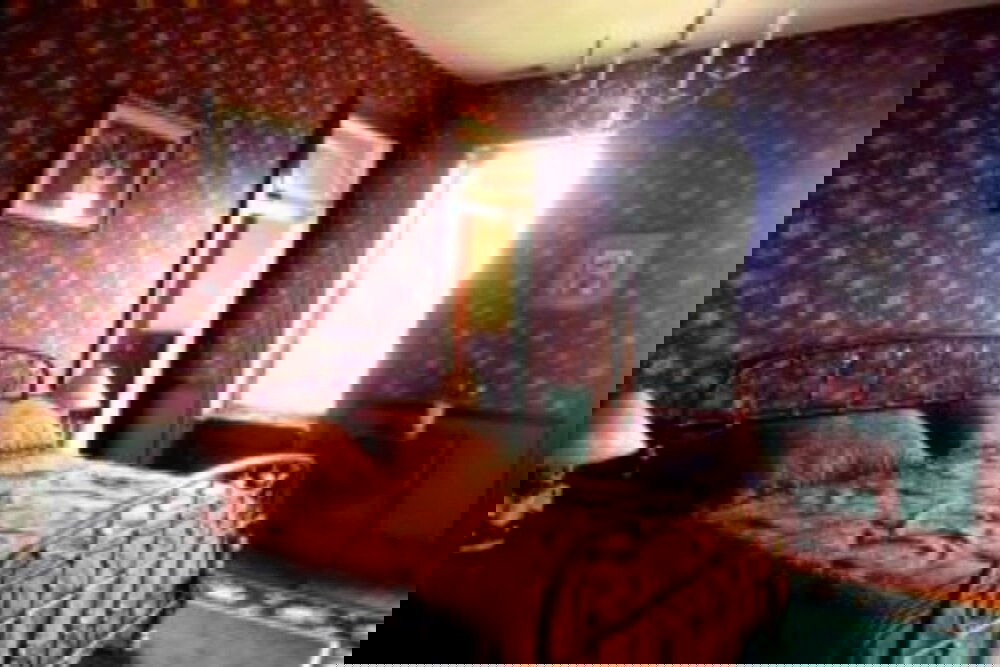 Herzog Mansion - thumb 4