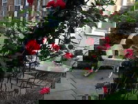 Port City Guest House