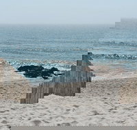 The Bentley Inn - Tourism Bookings