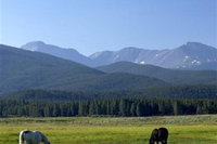 Fraser Co Tourism Bookings