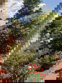 Fredericksburg Va Tourism Bookings