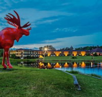 SureStay Plus Hotel by Best Western Black River Falls - Tourism Bookings