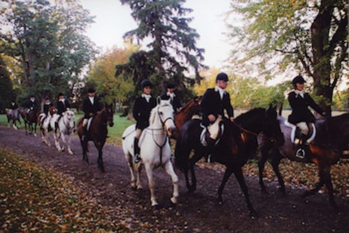 Hampton Inn Geneseo - thumb 0