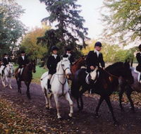 Hampton Inn Geneseo - Tourism Bookings