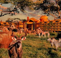 Disney's Animal Kingdom Lodge - Tourism Bookings