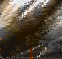 Gateway Inn - USA Accommodation