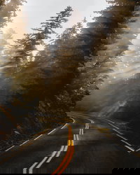 Ashford Wa USA Accommodation