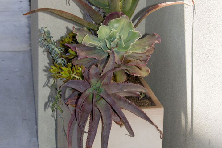 Comfort Inn Santa Cruz - thumb 3