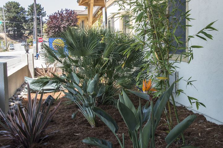 Comfort Inn Santa Cruz - thumb 5