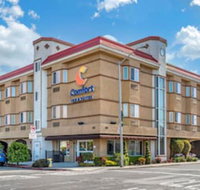 Comfort Inn  Suites San Francisco Airport West - Tourism Bookings