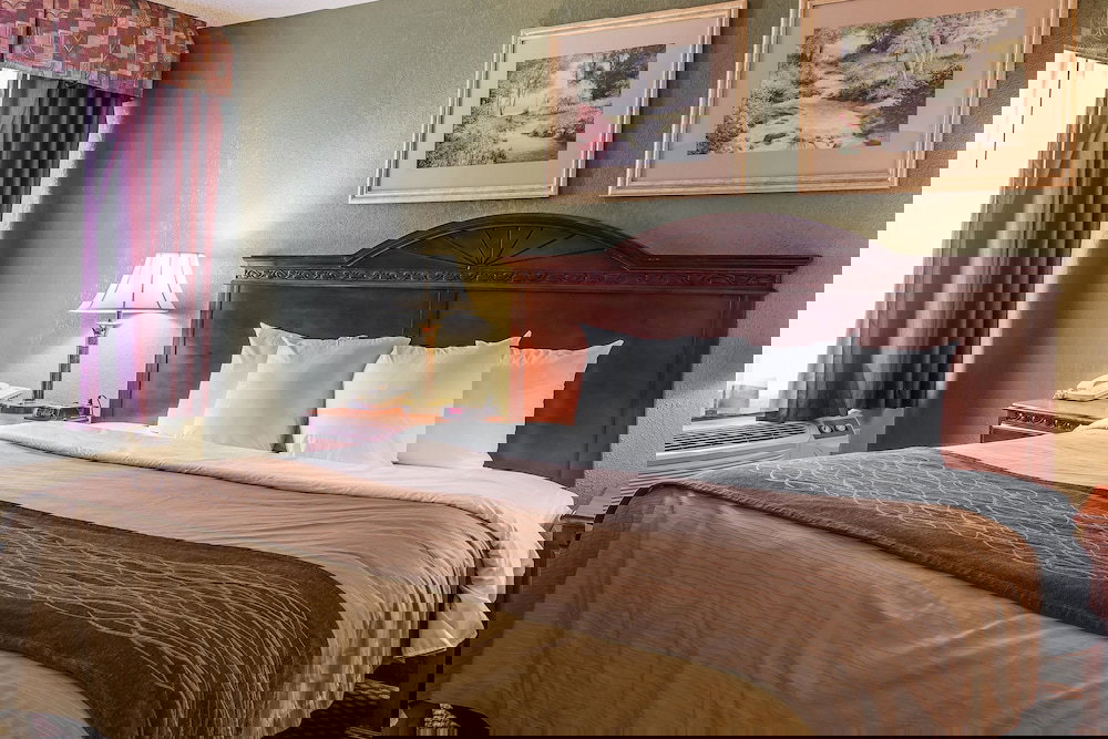 Quality Inn & Suites Ann Arbor Hwy 23 - thumb 6